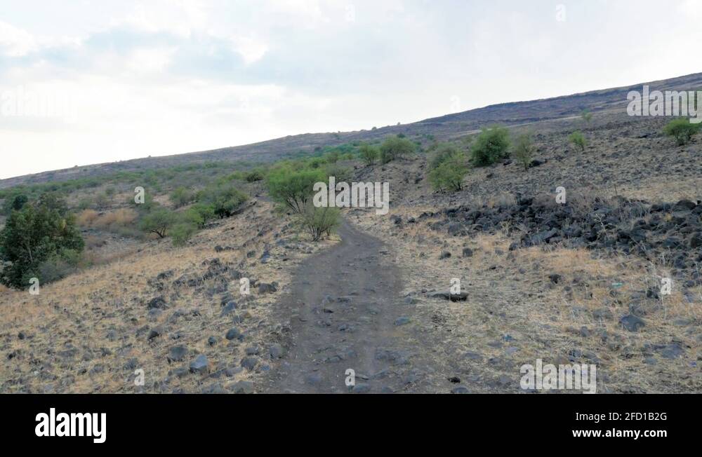 Beautiful Pathway by the Golan Heights in the North Galilee, Israel ...