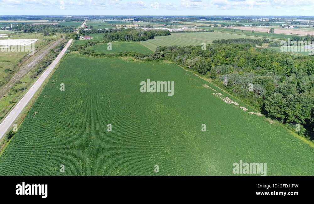 Golden field view miami Stock Videos & Footage - HD and 4K Video Clips ...