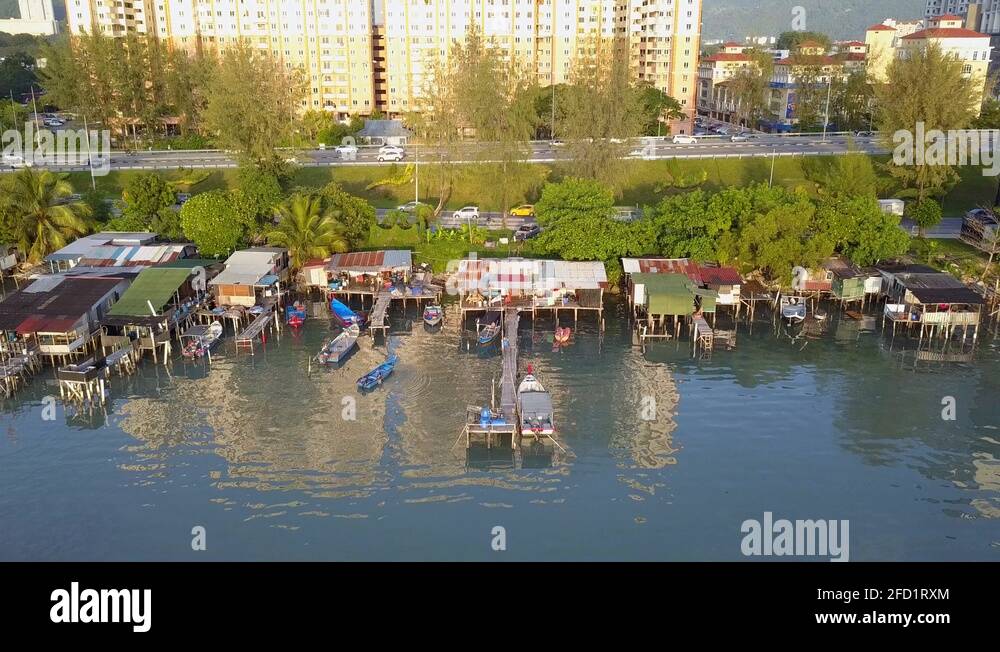 Jelutong wood Stock Videos & Footage HD and 4K Video Clips Alamy