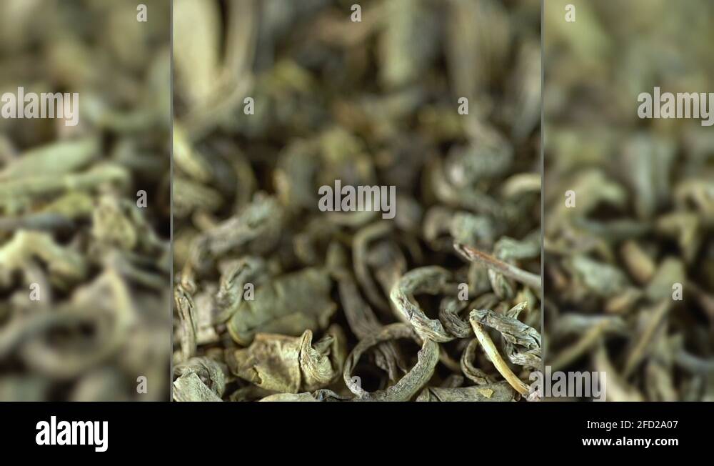 Green leaves collage Stock Videos & Footage - HD and 4K Video Clips - Alamy