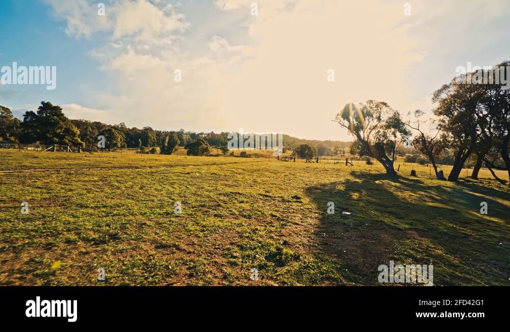 City farms wales Stock Videos & Footage - HD and 4K Video Clips - Alamy