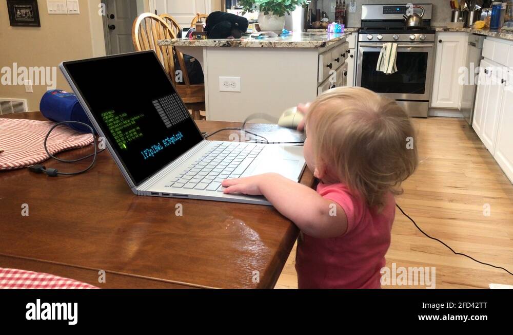 Baby hacker Stock Videos & Footage HD and 4K Video Clips Alamy