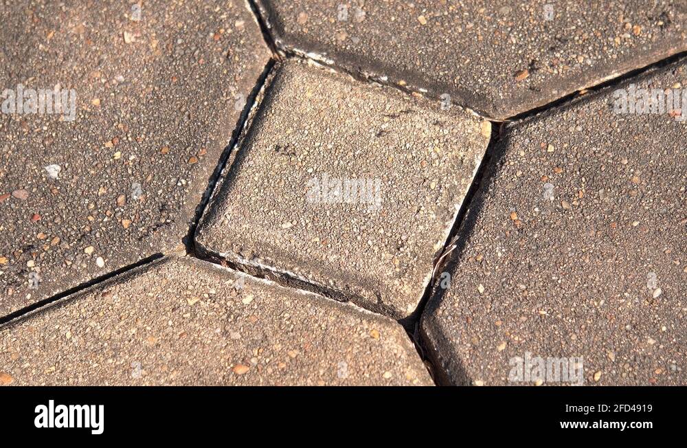 Tiny black ants stock videos footage hd and 4k video clips alamy