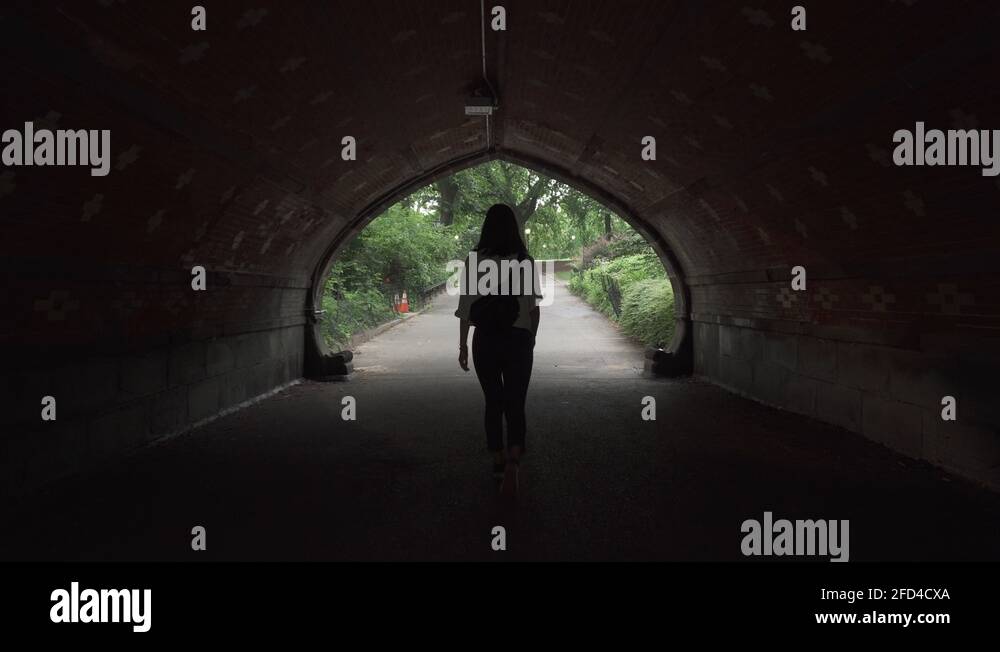 Tunnel in central park Stock Videos & Footage HD and 4K Video Clips