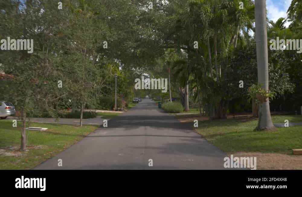 N plates Stock Videos & Footage HD and 4K Video Clips Alamy