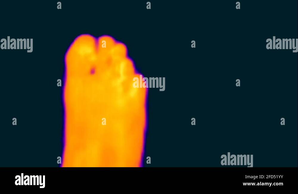 Thermal Infrared Radiation Imaging Of Foot Leaving Heat Prints On Floor