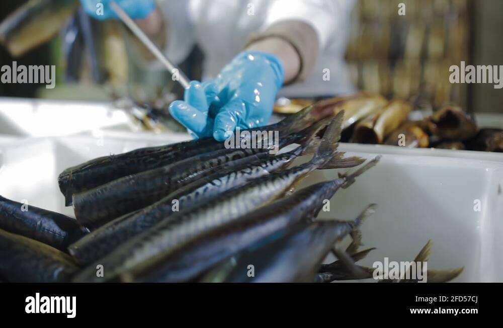 Fish strung on a skewer for smoking. Fish processing plant. Fish of