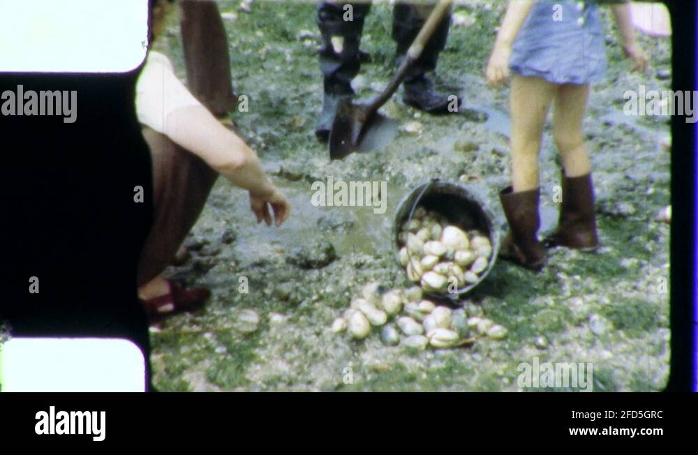 Family clam digging Stock Videos & Footage HD and 4K Video Clips Alamy