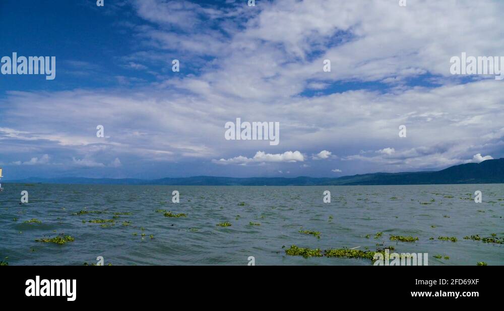 Lake chapala mexico Stock Videos & Footage - HD and 4K Video Clips - Alamy
