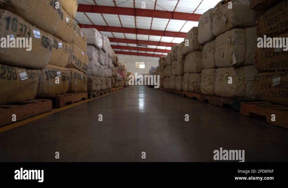 Cigar rolling factory, tobacco leaves bags Dominican Republic, slow