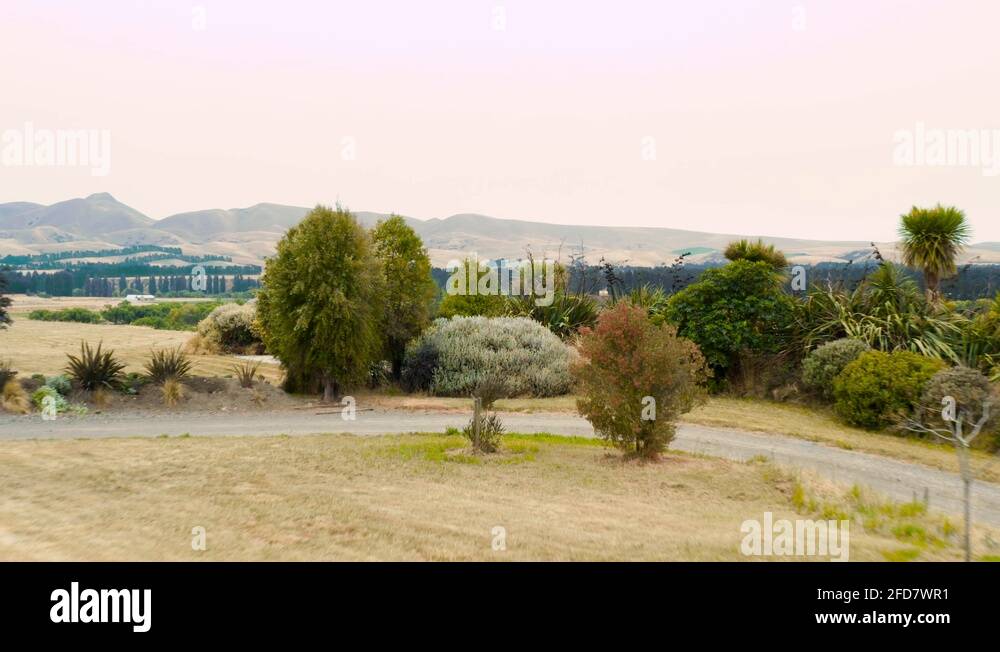 Native plantings Stock Videos & Footage HD and 4K Video Clips Alamy