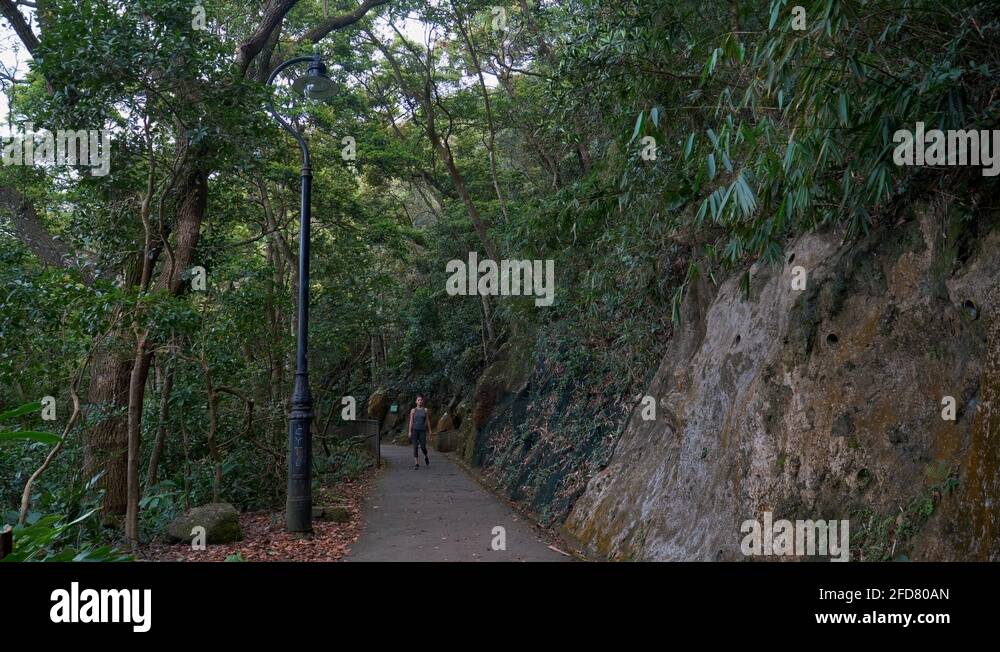 Eerie path Stock Videos & Footage - HD and 4K Video Clips - Alamy