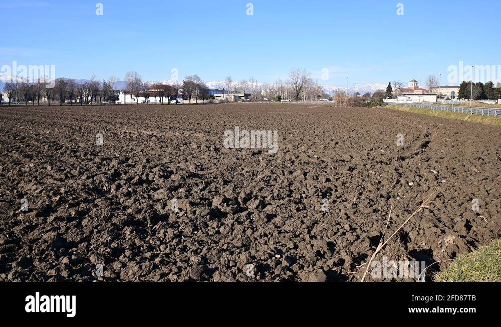 Humus rich soil Stock Videos & Footage HD and 4K Video Clips Alamy