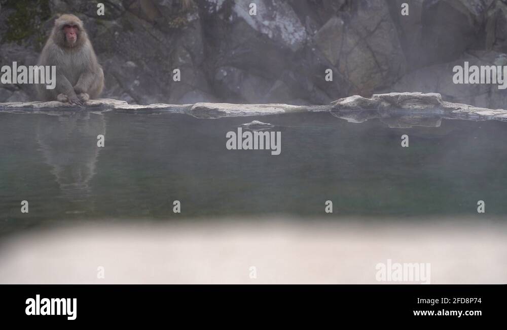 Living alone japan Stock Videos & Footage HD and 4K Video Clips Alamy