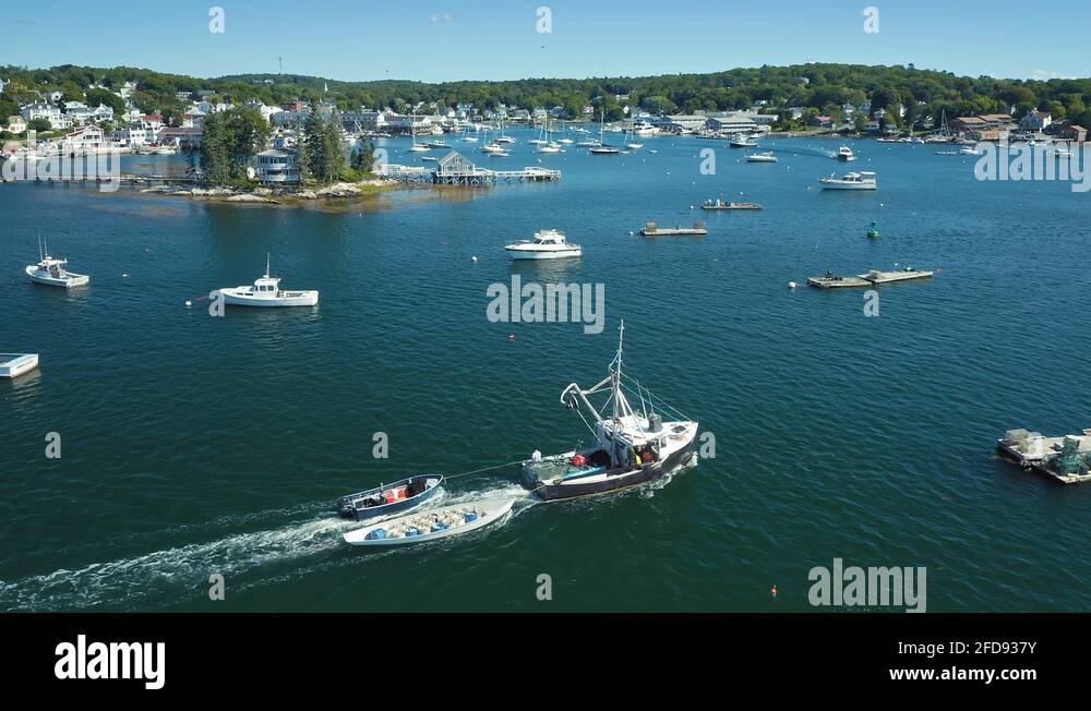 Fly fishing in maine Stock Videos & Footage HD and 4K Video Clips Alamy