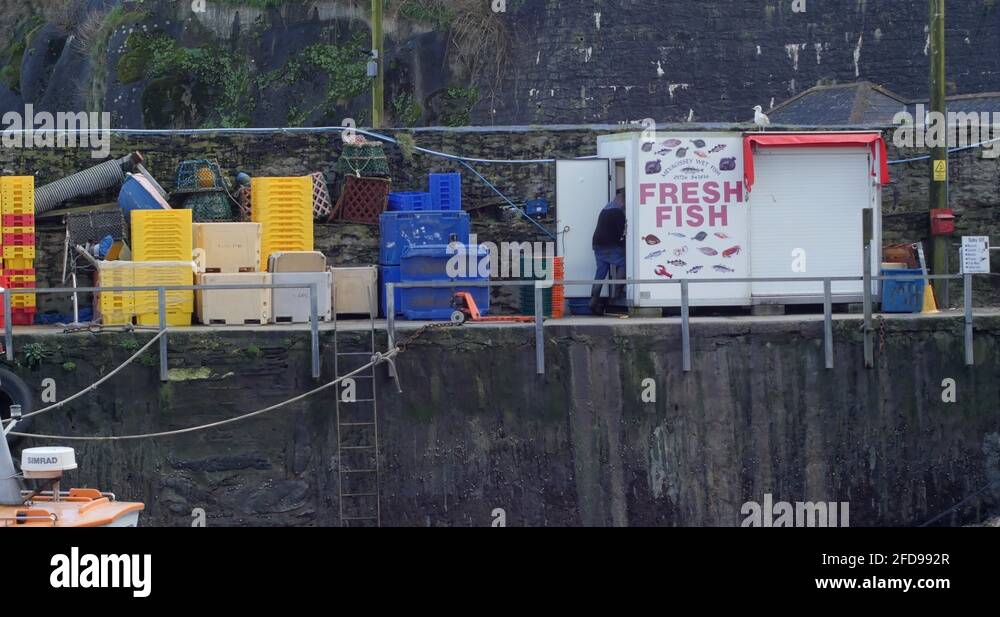 Fish storage boxes Stock Videos & Footage HD and 4K Video Clips Alamy