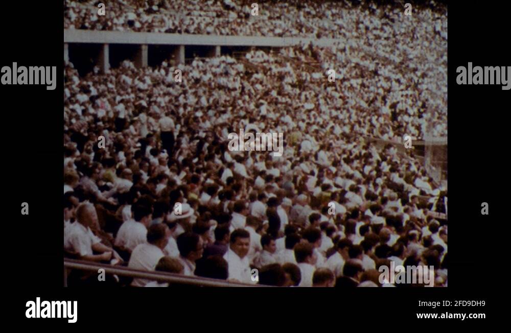Baseball fans stands Stock Videos & Footage HD and 4K Video Clips Alamy