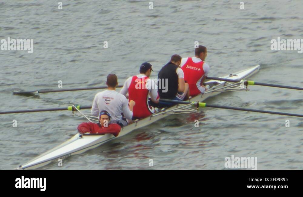 Harvard team Stock Videos & Footage HD and 4K Video Clips Alamy
