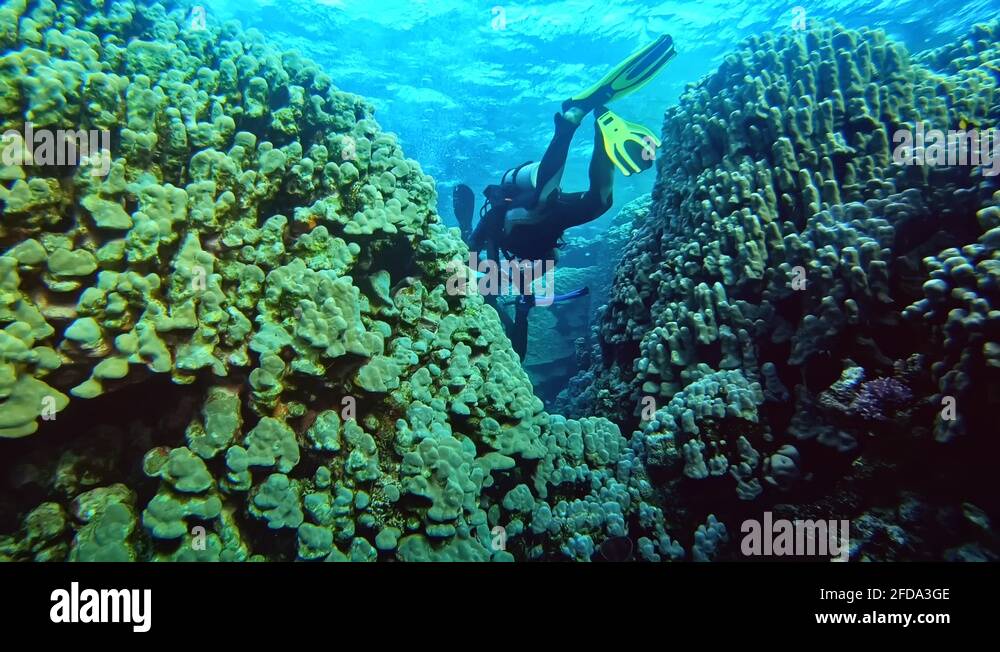 Penetration diving Stock Videos & Footage - HD and 4K Video Clips - Alamy