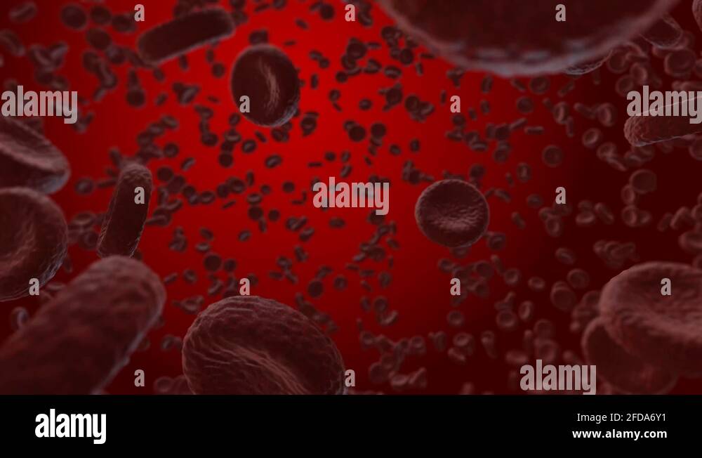 Infection cells Stock Videos & Footage - HD and 4K Video Clips - Alamy