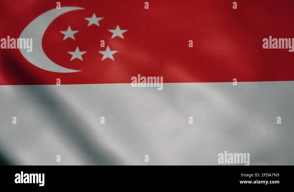 Flag of Singapore, slow motion waving. Looping animation. Ideal for