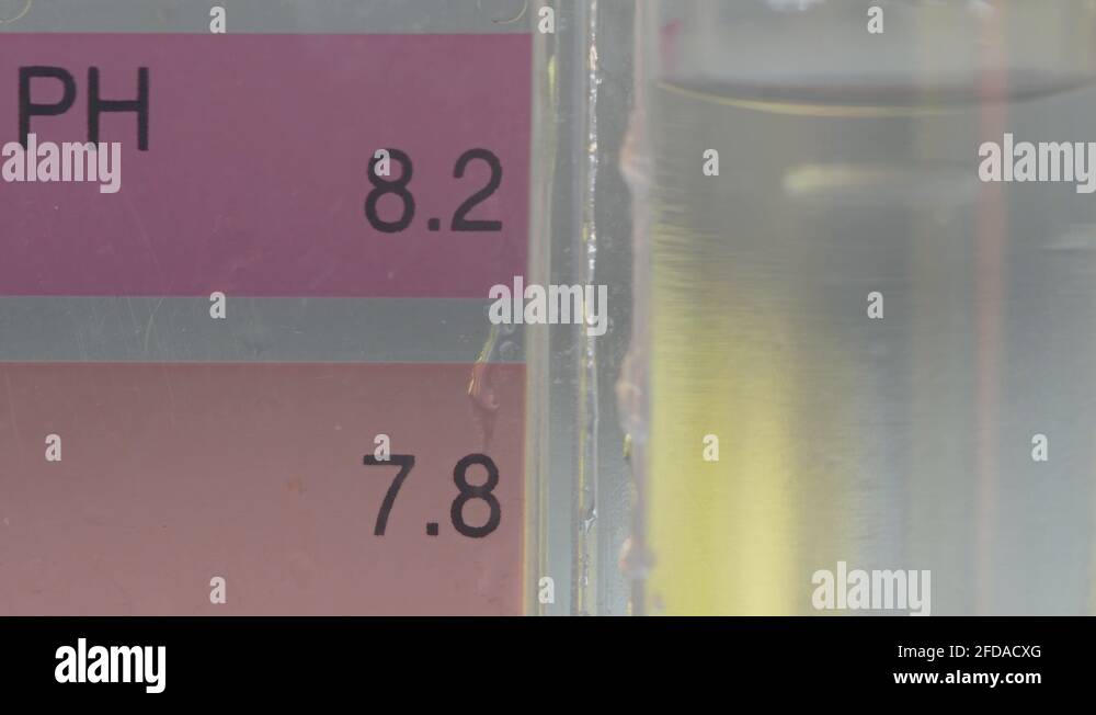 Ph scale Stock Videos & Footage HD and 4K Video Clips Alamy