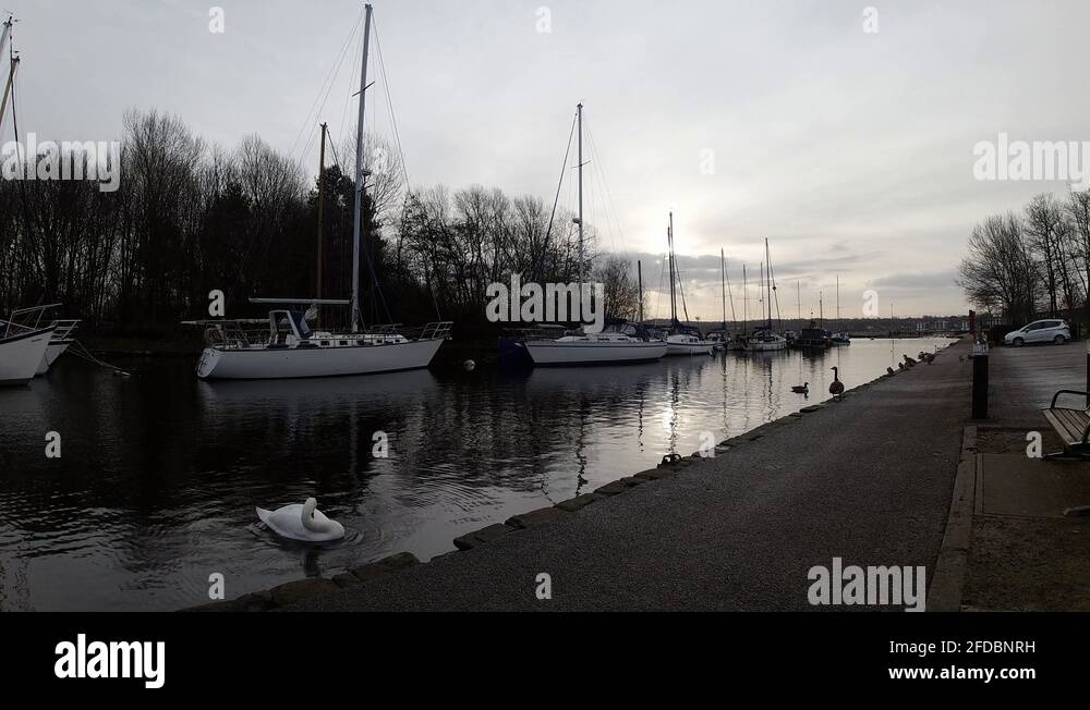 Narrow water channel Stock Videos & Footage HD and 4K Video Clips Alamy