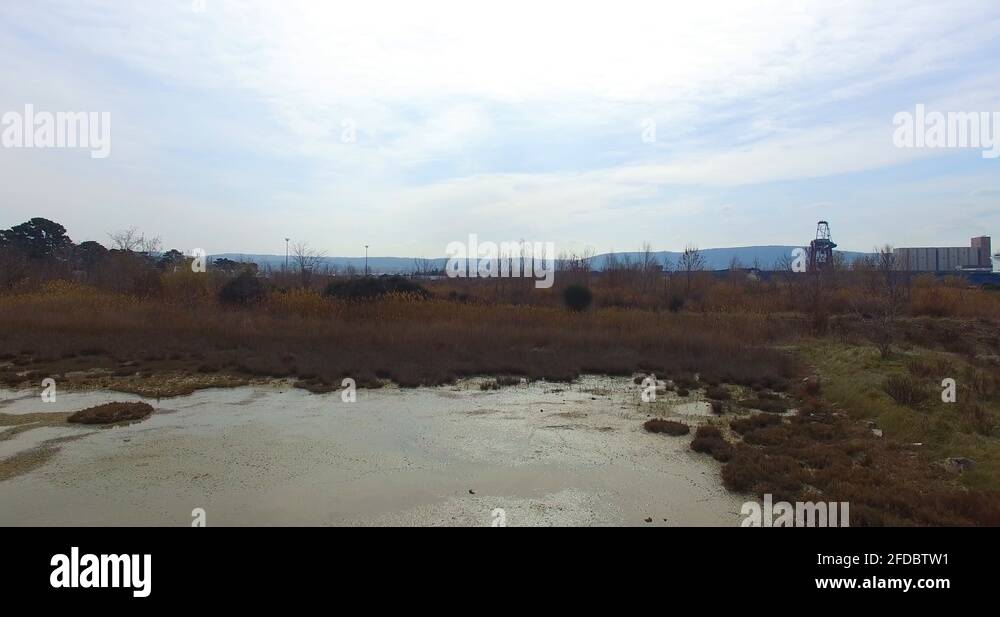 Marshes of the Pokopalisce skoljk marine seashell covered beach with
