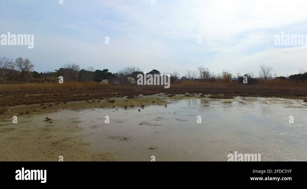 Marine seashell covered marsh ecosystem in the Pokopalisce Skoljk beach
