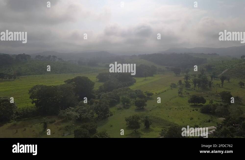 Jungle farm brazil Stock Videos & Footage HD and 4K Video Clips Alamy
