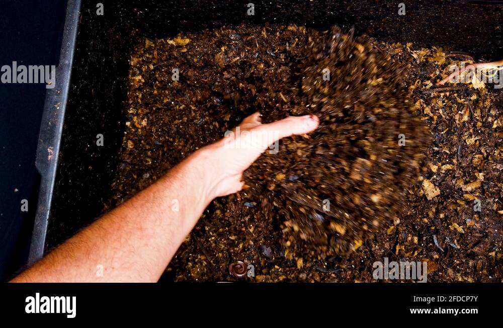 Compost bin too dry Stock Videos & Footage HD and 4K Video Clips Alamy