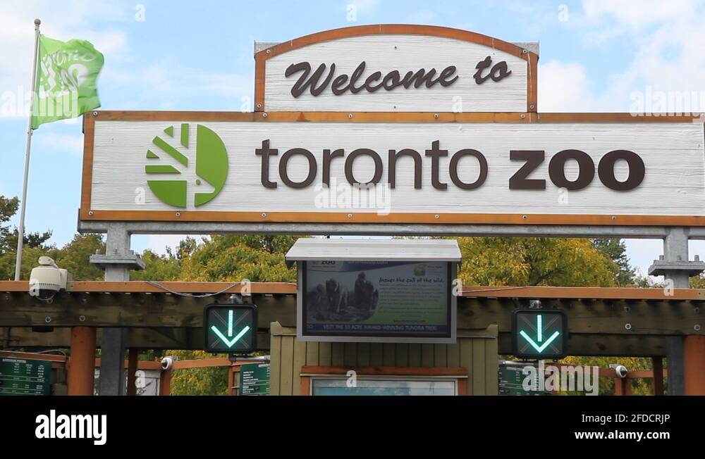 Metro Toronto zoo Stock Video Footage Alamy