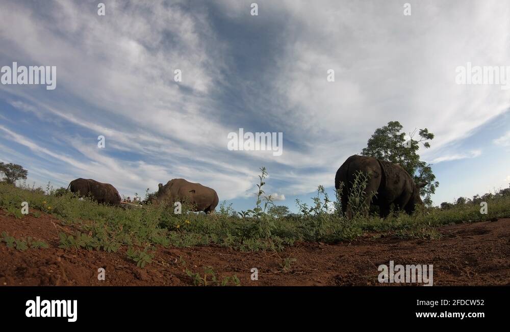 Fishbowl effect Stock Videos & Footage HD and 4K Video Clips Alamy