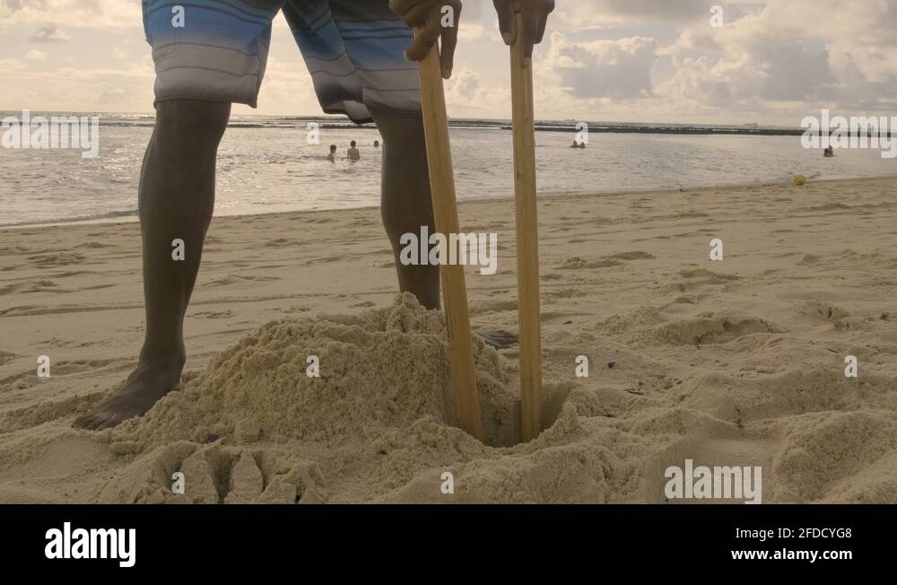 Man digging a hole Stock Videos & Footage - HD and 4K Video Clips - Alamy