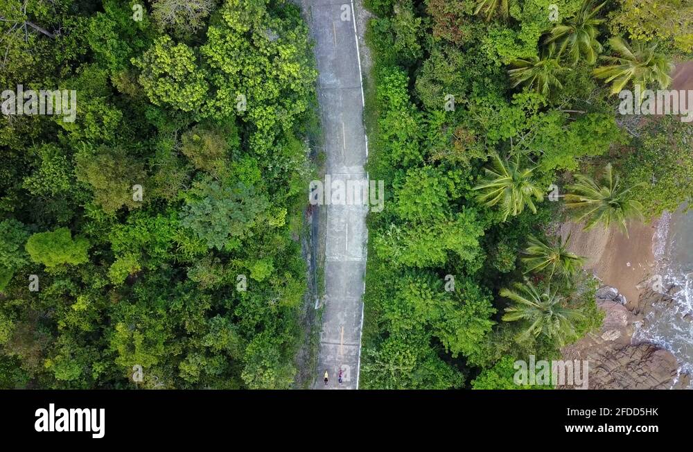 Mopeds park in a street Stock Videos & Footage HD and 4K Video Clips