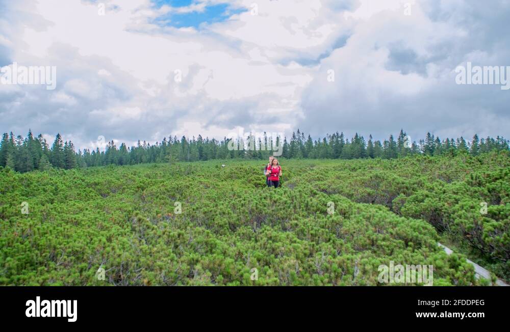 Nature Hikes Stock Videos Footage HD And 4K Video Clips Alamy