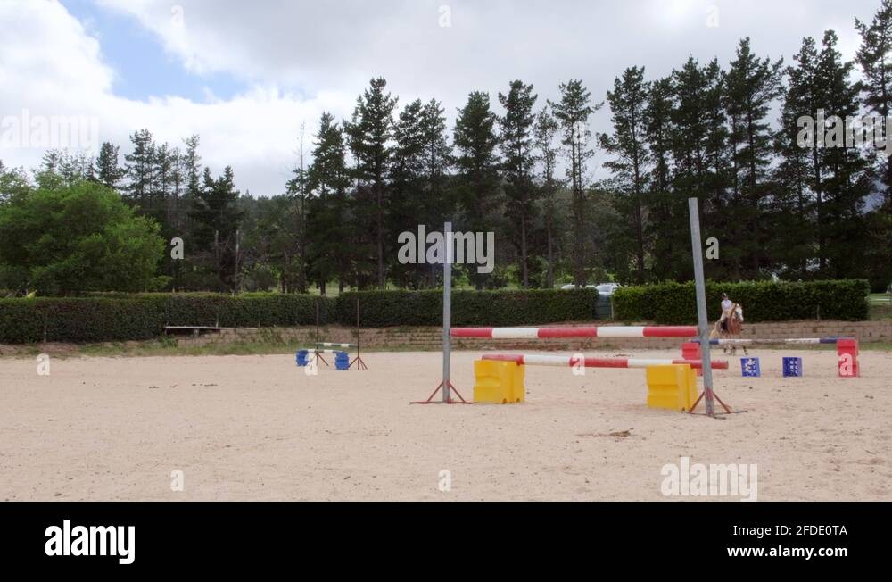 Horse conformation Stock Videos & Footage HD and 4K Video Clips Alamy