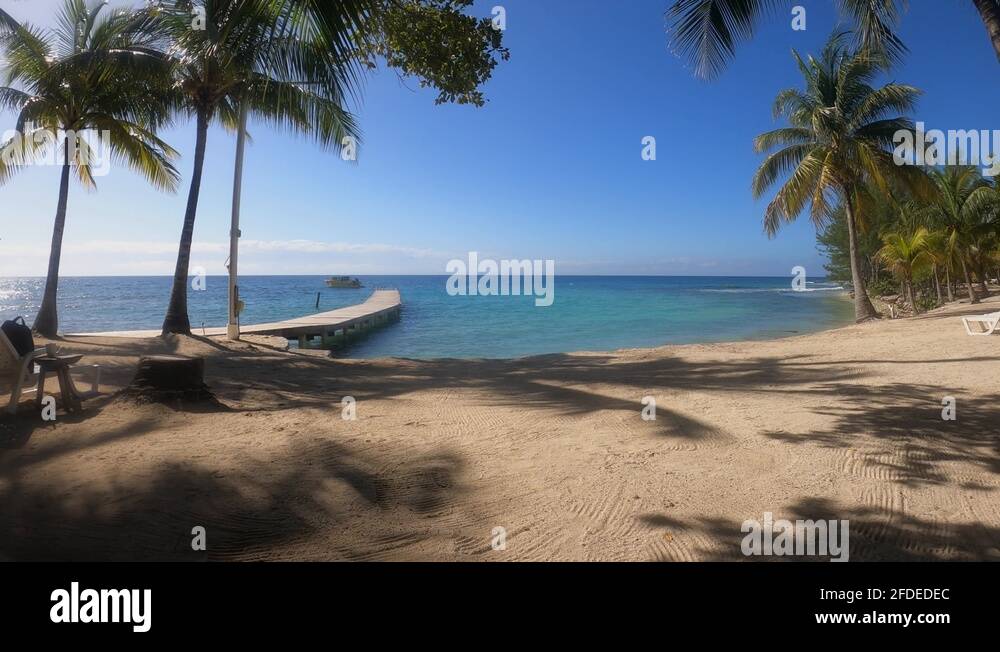 Utila honduras beach Stock Videos & Footage HD and 4K Video Clips Alamy