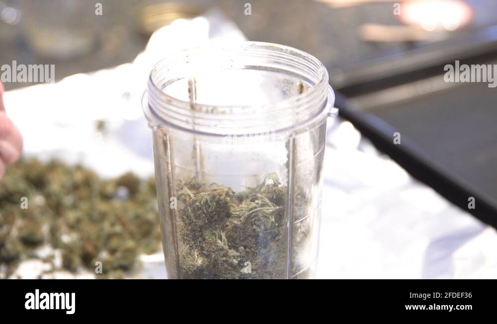 C indica Stock Videos & Footage HD and 4K Video Clips Alamy