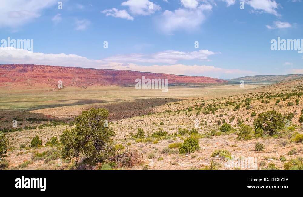 Arid land with few plants growing in Grand Canyon, Arizona, USA wide shot Stock Video Footage