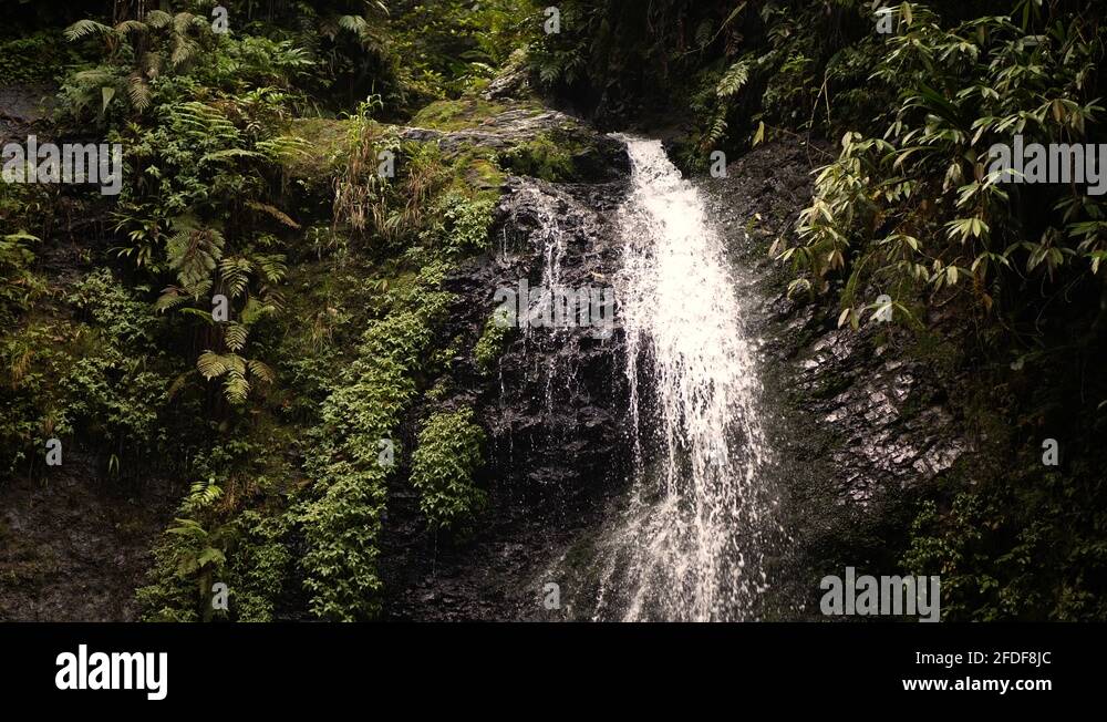 Footage of Cascade du Saut du Gendarme Waterfall on island Martinique