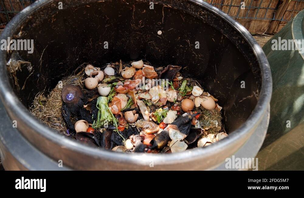 Bon collection Stock Videos & Footage - HD and 4K Video Clips - Alamy