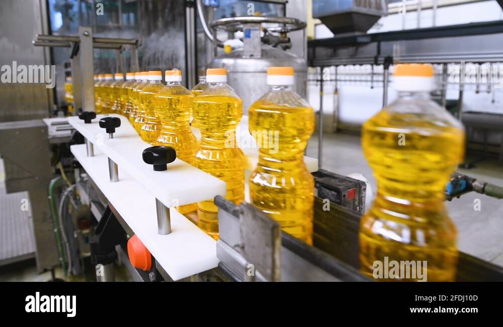 Sunflower oil production Stock Videos & Footage HD and 4K Video Clips