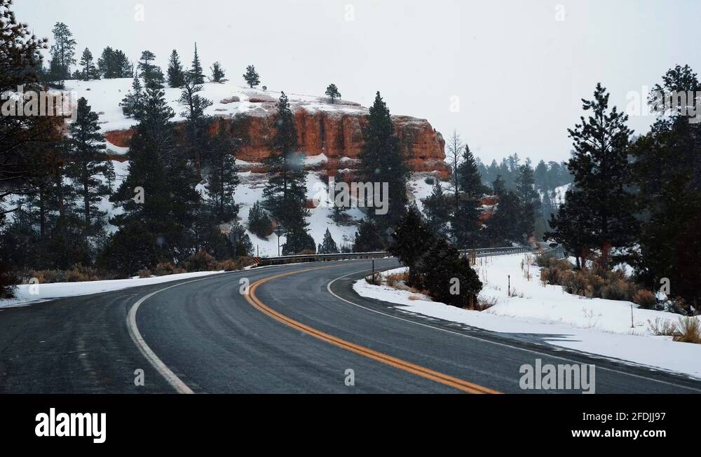 Cedar flats Stock Videos & Footage HD and 4K Video Clips Alamy