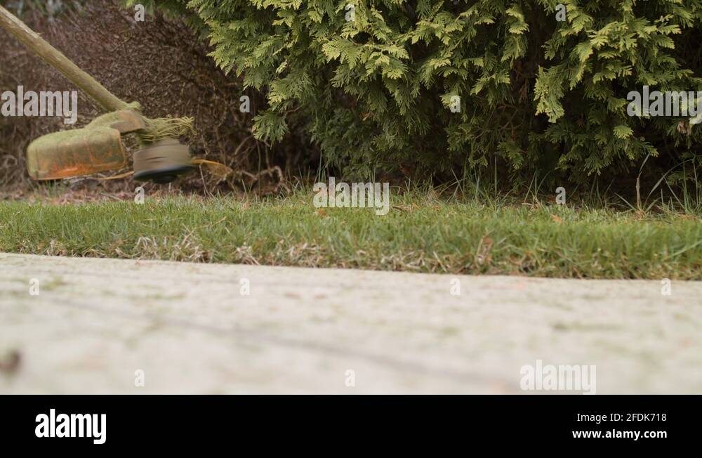 Weed eater Stock Videos & Footage HD and 4K Video Clips Alamy