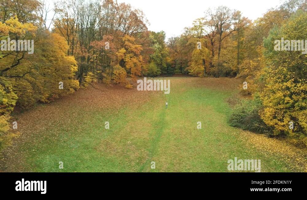 Period shortening Stock Videos & Footage HD and 4K Video Clips Alamy