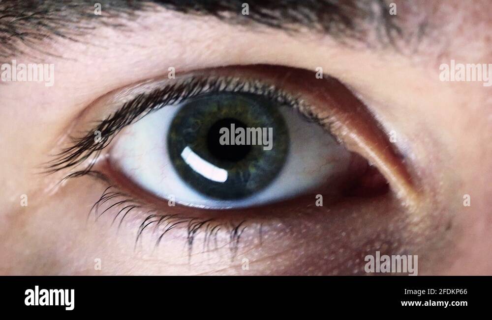 Close up macro shots of blue - green - yellowish eye reacting to light ...