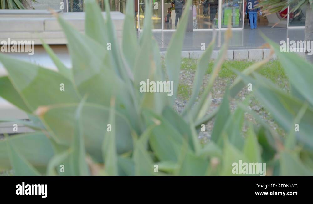 Pedestal up shot revealing entrance facade of Malaga Central Station