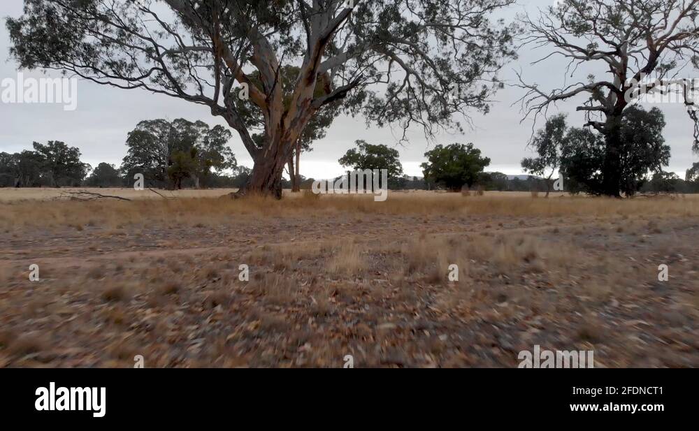 Down under australia Stock Videos & Footage HD and 4K Video Clips Alamy