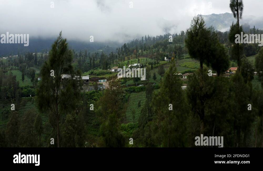 Hillside Fields: A History Of Sports In West Virginia Kindle Edition